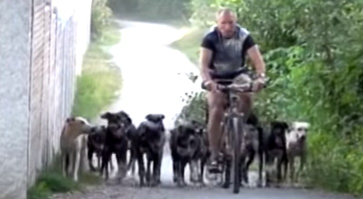 Quest'uomo vive con 16 vivacissimi cani: la loro educazione vi sorprenderà