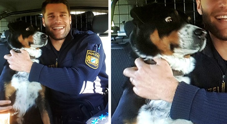 En hund rymmer hemifrån och blir "arresterad", polisernas bild är väldigt rolig