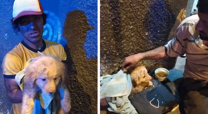 Um morador de rua cuida de um cachorrinho que foi abandonado diante de seus olhos