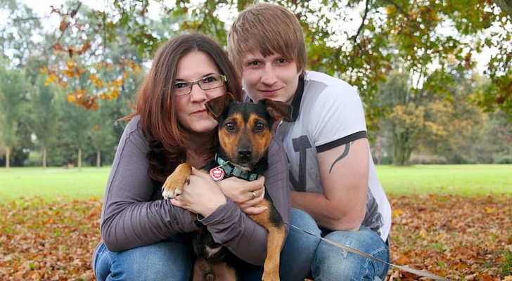 Ze hadden de hoop verloren, maar na 6 jaar vinden ze hun hond terug, 300 kilometer van huis