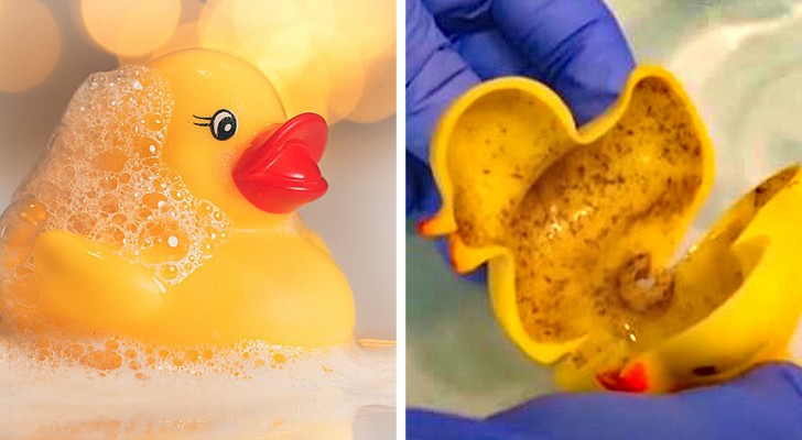Badewannenspielzeug aus Gummi kann ein echter Brutplatz für Pilze und Bakterien sein: der Alarm der Experten