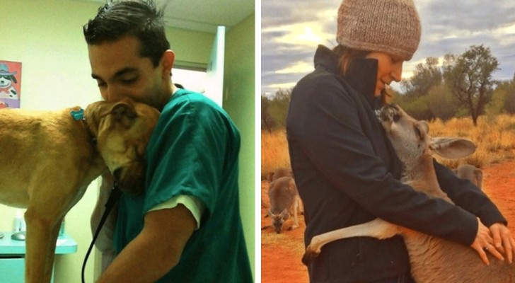 14 animals who have shown their affection and gratitude to the humans who took care of them