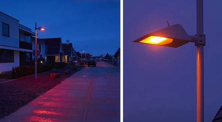 Questa cittadina ha illuminato di rosso le sue strade per aiutare i pipistrelli a muoversi di notte