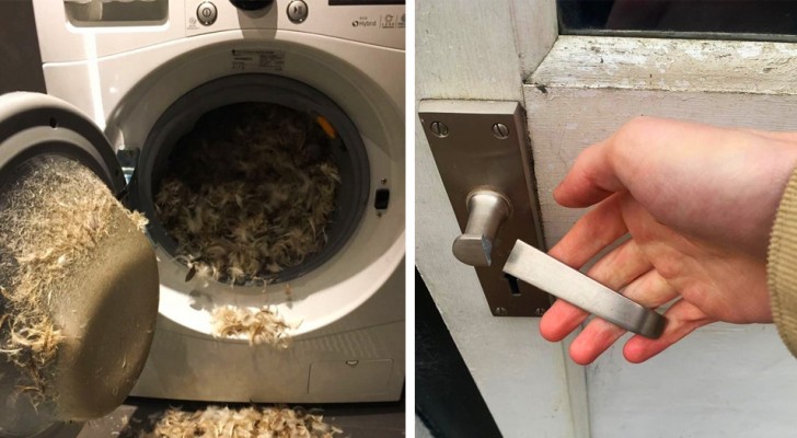 18 photos of people who had a bad day to say the least