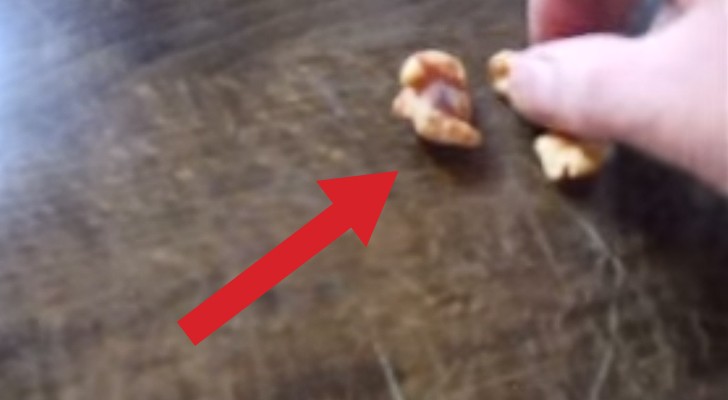 Your furniture is scratched? Well, just peel some...WALNUTS!