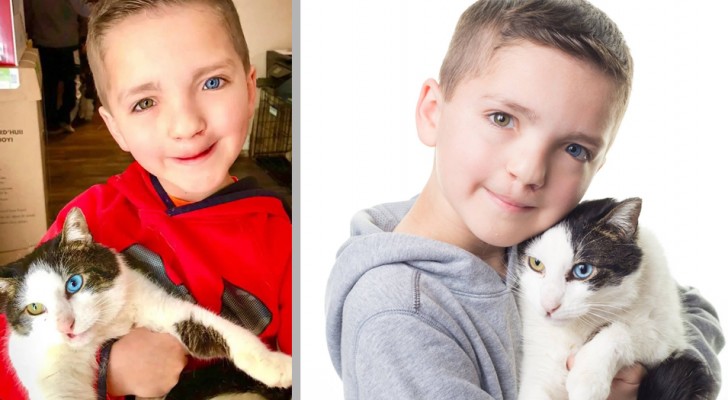 Ein Kind adoptiert eine Katze mit der gleichen genetischen Erkrankung: Jetzt sind sie beste Freunde