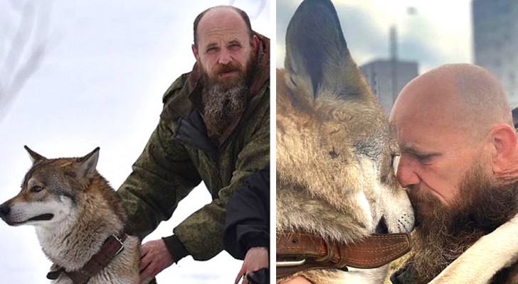 Deze man heeft een wolf gered van een treurig lot: nu is hij zijn geweldige levensgezel