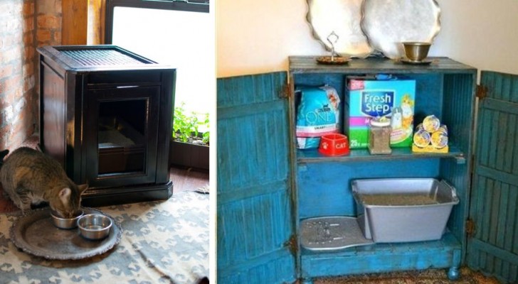8 soluzioni super-ingegnose per nascondere la lettiera dei gatti nell'arredamento di casa