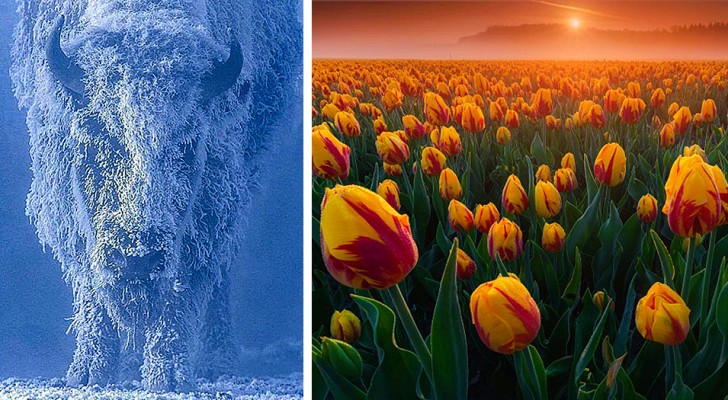 16 afbeeldingen vol verwondering bevestigen dat Moeder Natuur een artieste is met een onbereikbaar talent