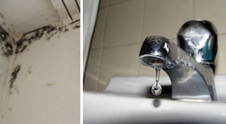 7 nützliche Hausmittel für ein sauberes und gesünderes Zuhause