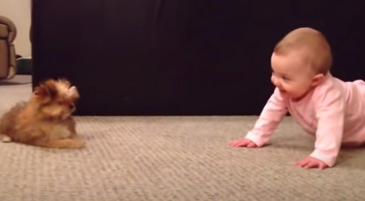 Un papà filma l'esilarante "conversazione" tra sua figlia di pochi mesi e il cagnolino di famiglia