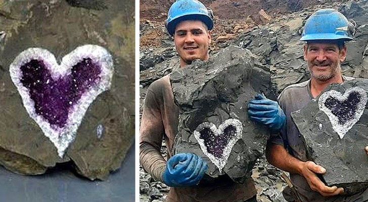 Questi minatori hanno scoperto per caso uno splendido geode di ametista a forma di cuore