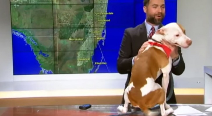"Someone" interrupts the weather report: here's the beauty of LIVE tv !