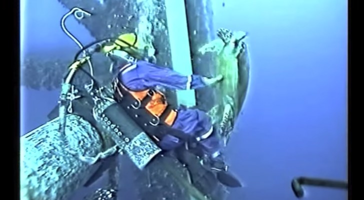 While repairing a pipe underwater, this man lives an unforgettable experience