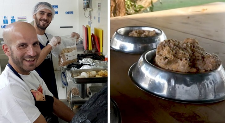 A chef decides to donate food left by his customers to the animals in local shelters