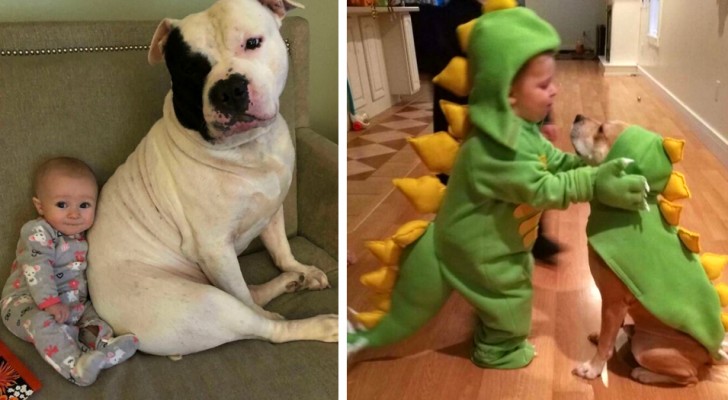 "Your child needs a dog": 17 photos full of sweetness describe the friendship between children and their puppies