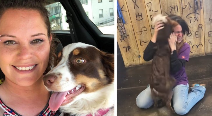 La sua cagnolina scompare per 3 settimane: quando la ritrova non riesce a trattenere le lacrime per la felicità
