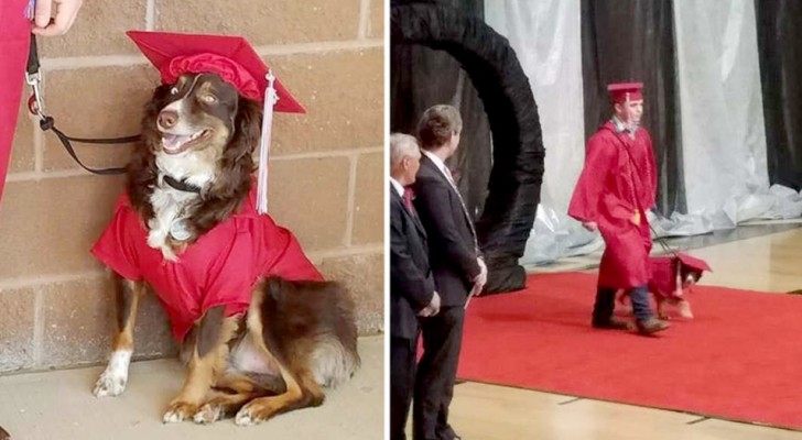 Er erscheint am Tag der Abschlussfeier an der Seite seines treuen Therapiehundes: Er hatte ihm Jahre zuvor das Leben gerettet