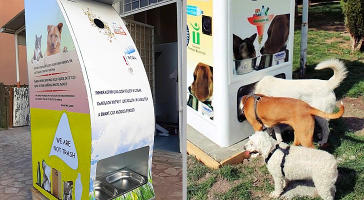 Questi speciali distributori offrono cibo agli animali randagi in cambio di bottiglie di plastica da riciclare