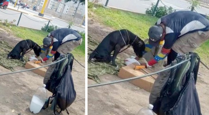 A homeless man takes care of a disabled dog: he feeds him and considers him "his child"