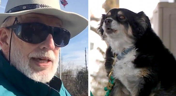 Un homme laisse 5 millions de dollars à son chien bien-aimé, le seul qui ne l'a jamais laissé déçu 