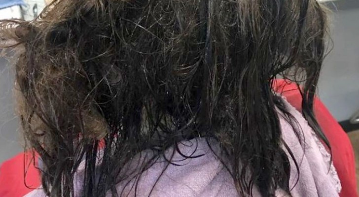 A hairdresser takes 13 hours to cut a girl's unkempt hair: she hadn't taken care of it for months