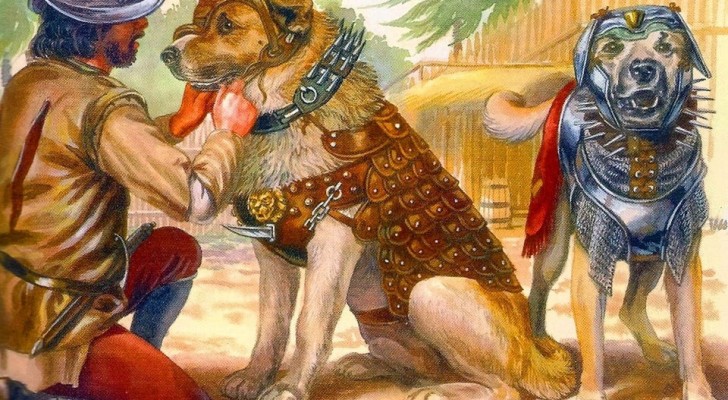 Becerrillo: il terrificante cane da guerra, arma dei conquistatori spagnoli
