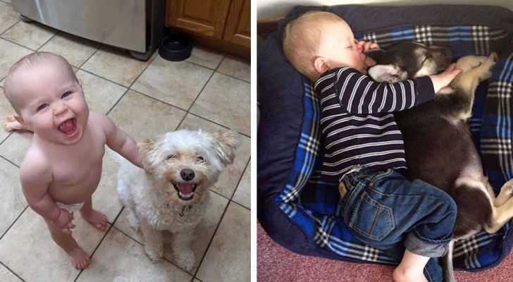 15 adorables photos montrent que même les bébés ont besoin d'un chien dans leur vie