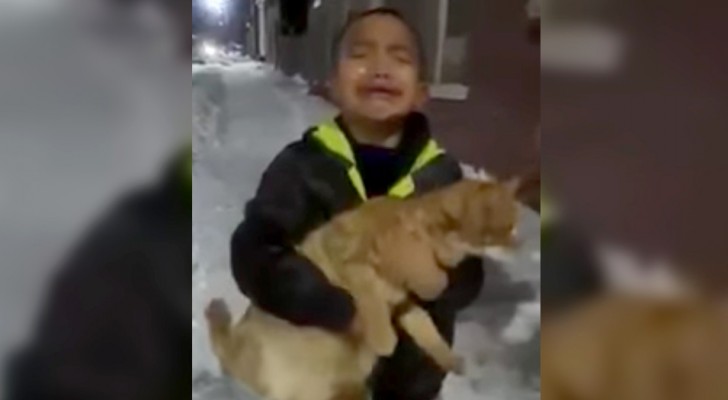 "Mom, I want it!": A child's desperate cry to his mother because he would like to adopt a kitten he found in the street