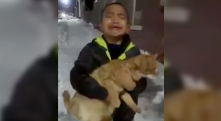 "Mama, ik wil hem!”: Een kind is wanhopig omdat hij graag een kat wil adopteren dat hij op straat had gevonden