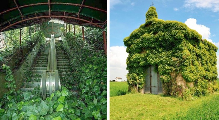 Nature takes back what is hers: 15 uninhabited places where vegetation has taken over.