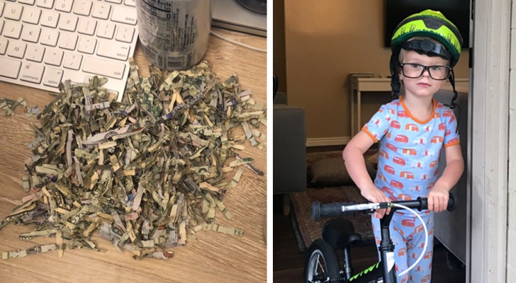 They save up $1,060 to pay off a debt, but then discovered that their 2-year-old son had destroyed the bills in the paper shredder.