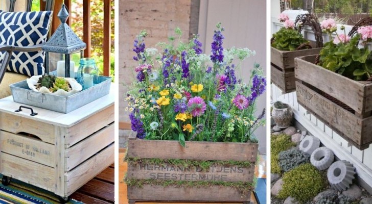 Decoreer je tuin of balkon met houten kratten: de meest creatieve en voordelige ideeën