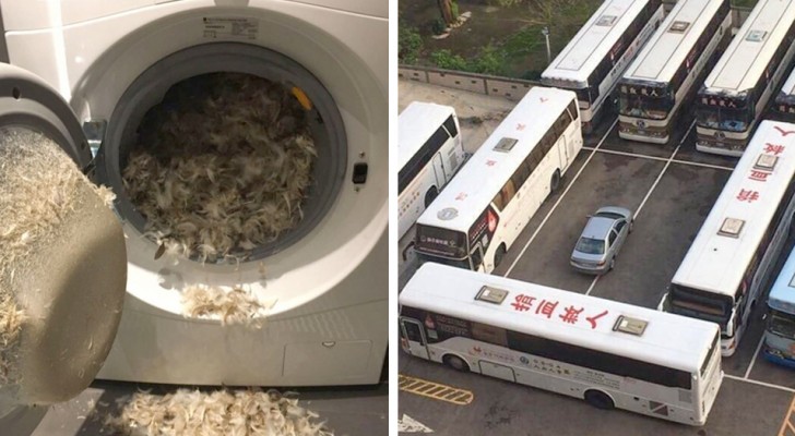 "What bad luck!": 16 events in which bad luck definitely got the better of everything