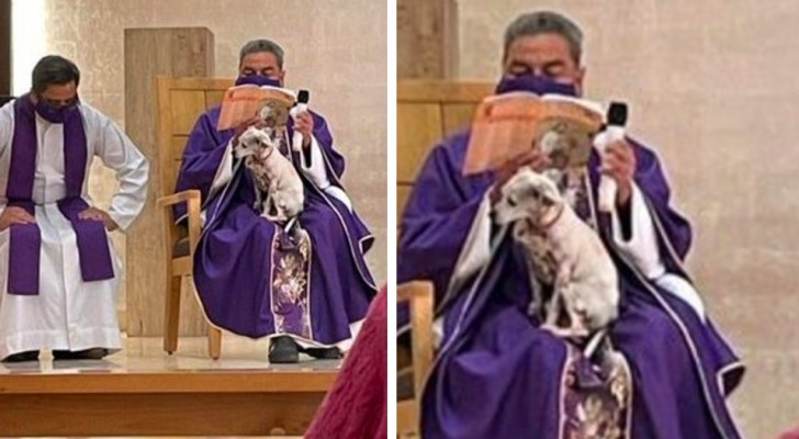 Een priester wordt gefotografeerd terwijl hij de mis opdraagt met zijn zieke hond op schoot: hij wil hem niet alleen laten