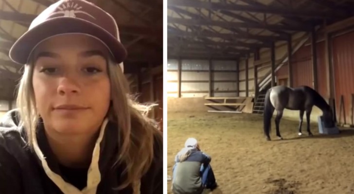 Het paard loopt naar zijn baasje en troost haar wanneer hij haar hoort huilen: een ontroerende scène