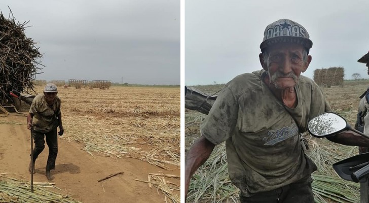 Con 94 años trabaja en el campo más de 10 horas al día: los hijos lo abandonaron