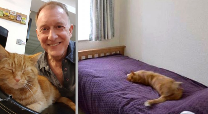 Hij zoekt op internet naar een huis en vindt zijn kat op de foto van een huis dat te koop staat
