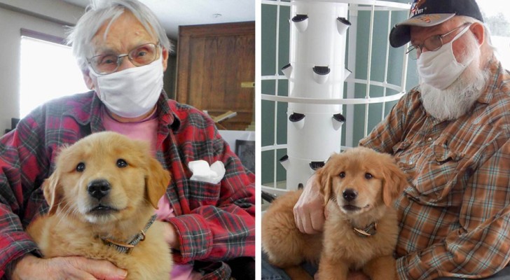 Questa casa di riposo ha "assunto" un cucciolo per risollevare il morale degli anziani residenti