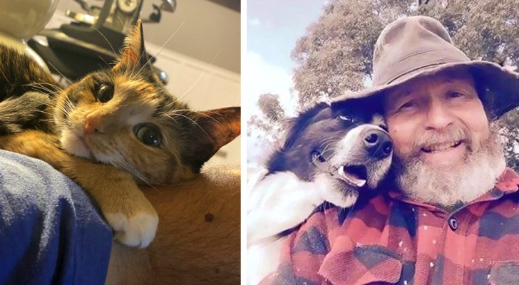 Todo el amor encerrado en una mirada: 21 fotos muy tiernas de animales y de sus dueños