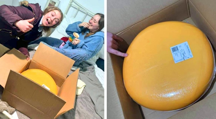  Sale con un joven granjero y él le regala una horma de queso de 12 kg en la primera cita