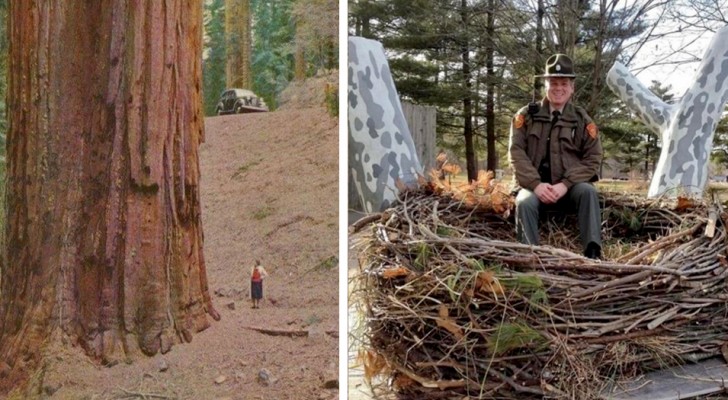 We zijn zandkorrels: 16 foto's die laten zien hoe klein de mens is tegenover Moeder Natuur