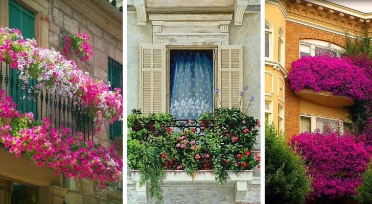13 bloeiende balkons, de een nog mooier dan de ander, om inspiratie op te doen en geweldige ruimtes te creëren