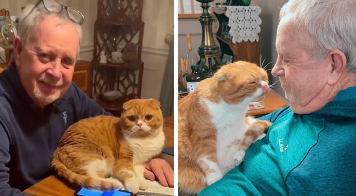 The daughter's cat alerts them that her father has cancer and refuses to leave him alone: "He knows he needs him"