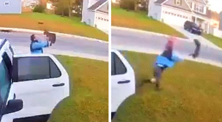 Een man redt zijn vrouw van de aanval van een rode lynx: de camera legt 46 seconden van angst vast