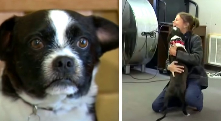 She lost his dog and finds him again after 2 long years: 