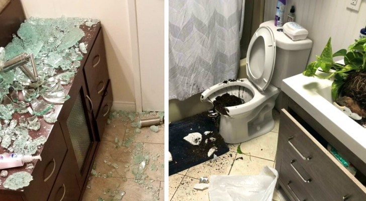 A series of unfortunate events: 16 people who managed to create real disasters at home