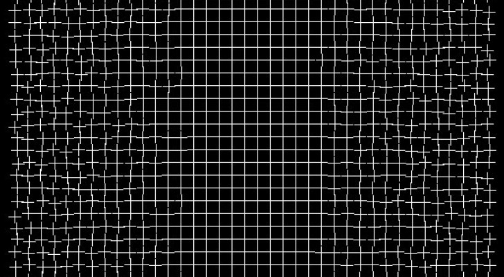 Trovati oltre 100 sacchetti con bisogni di cane su una spiaggia: "smaltiteli correttamente"