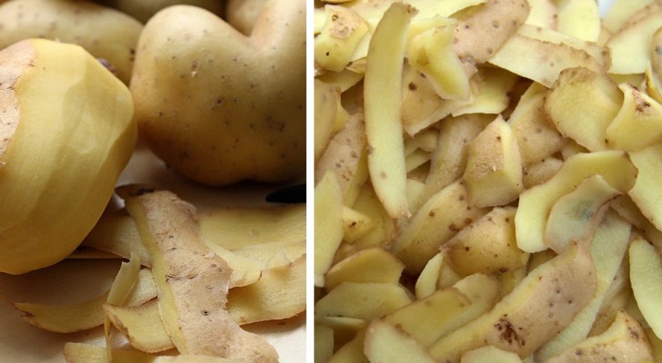 Le bucce delle patate possono essere usate in molti modi: imparali e non le getterai più via