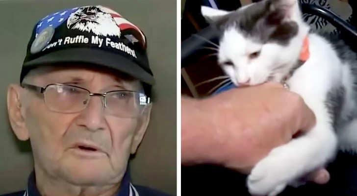 An old man falls in the shower and remains on the floor for 16 hours: the cat saves him by bringing him his cell phone